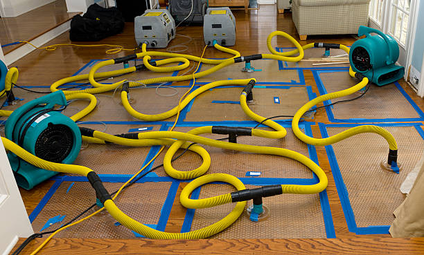 Professional Water Damage Restoration technician working in Bowling Green, FL